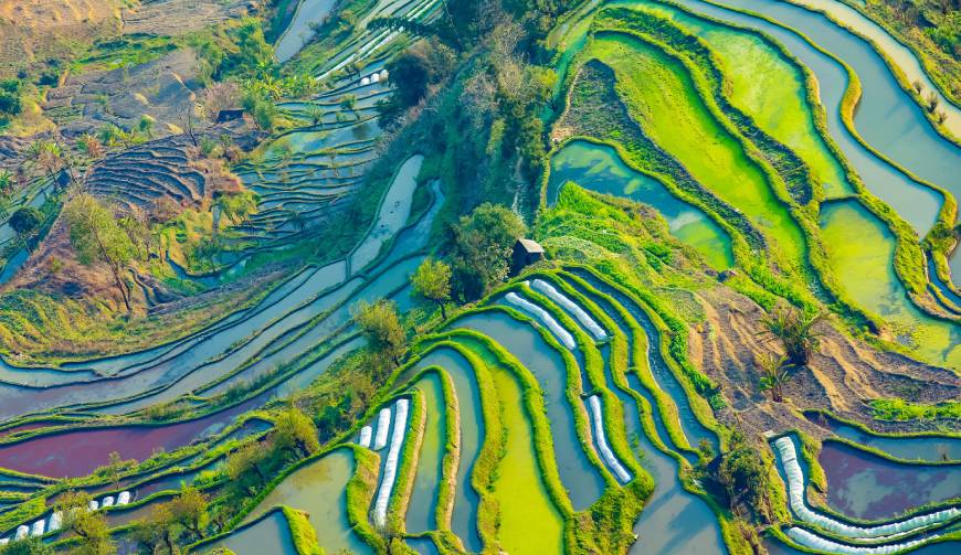 宝妈必备神器：新洲区产品视频拍摄轻松育儿好帮手