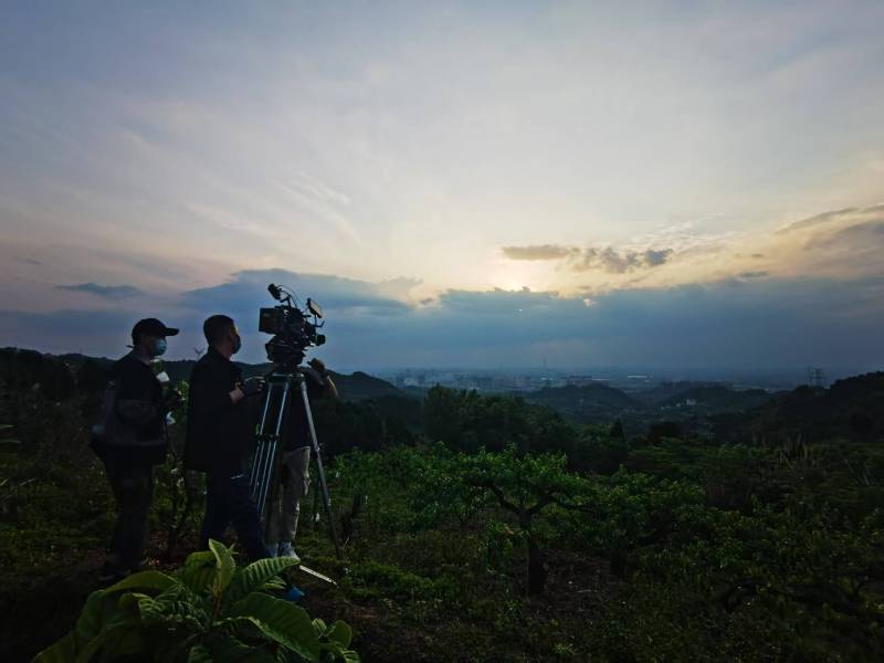 聚焦新洲区产品宣传视频拍摄公司，用专业实力铸就品牌传播传奇